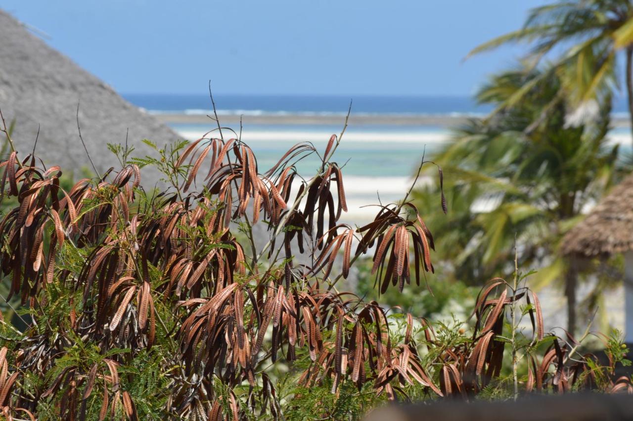Pole Pole Beach House Watamu Εξωτερικό φωτογραφία